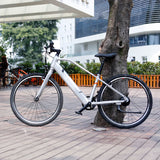 LC01 26" City E-bike