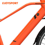 LC01 26" City E-bike