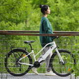 LC02 26"City E-bike